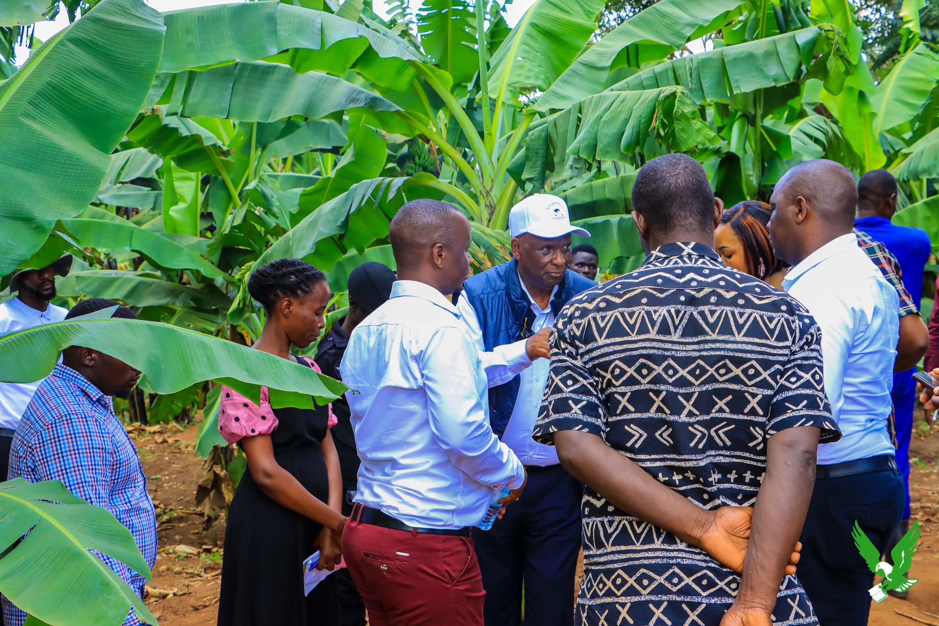 Agriculture Image 6