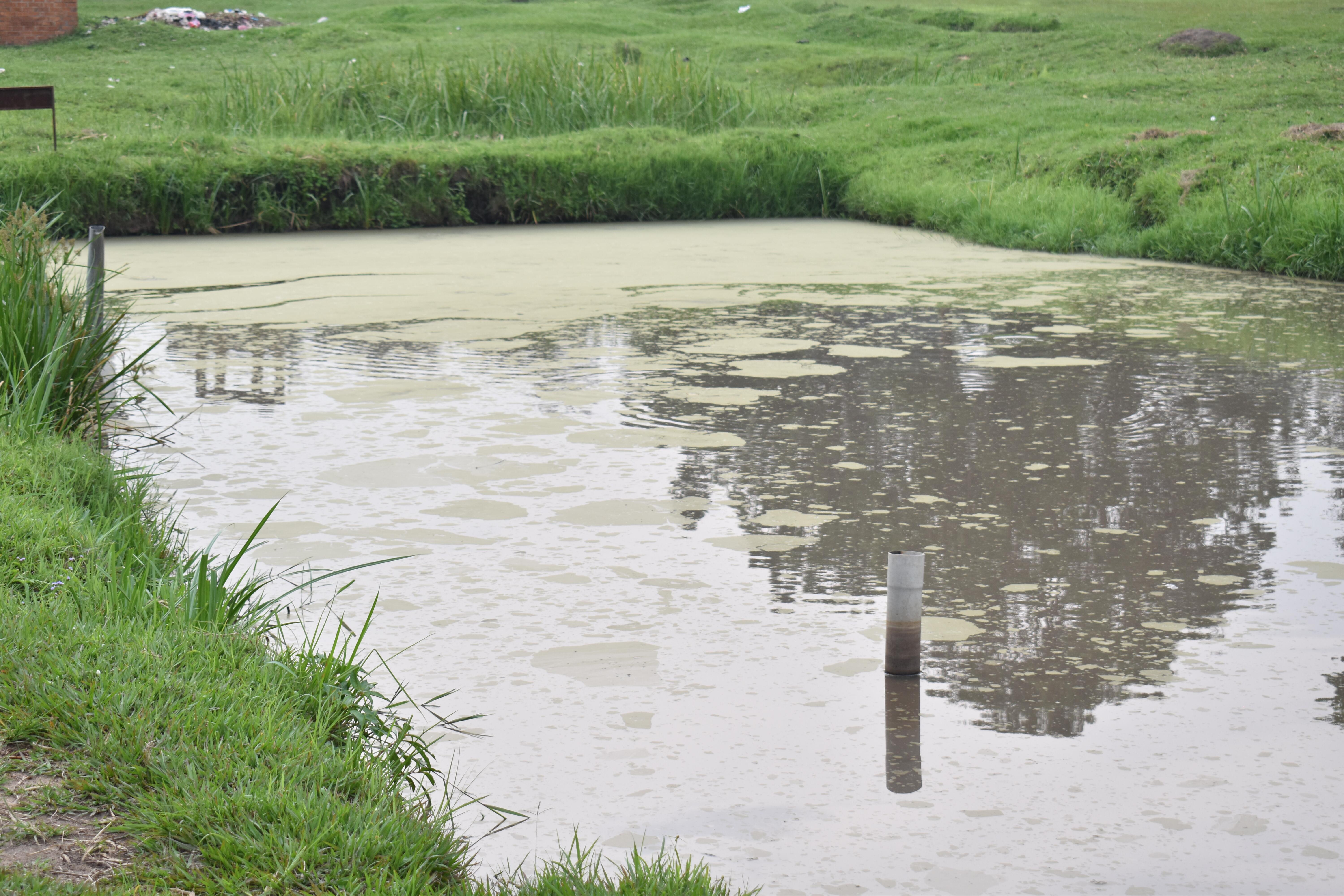 Agriculture Image 8