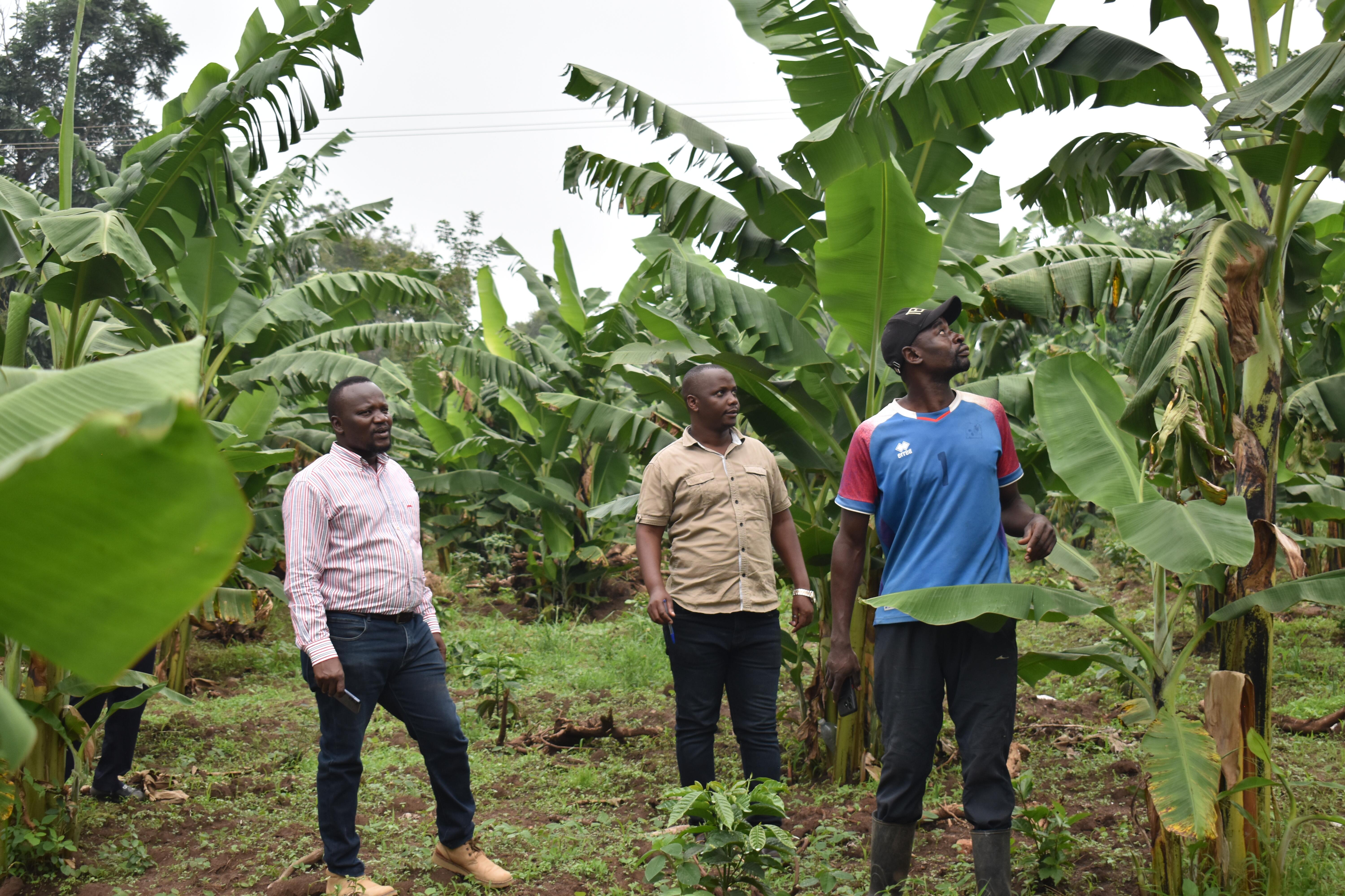 Agriculture Image 23