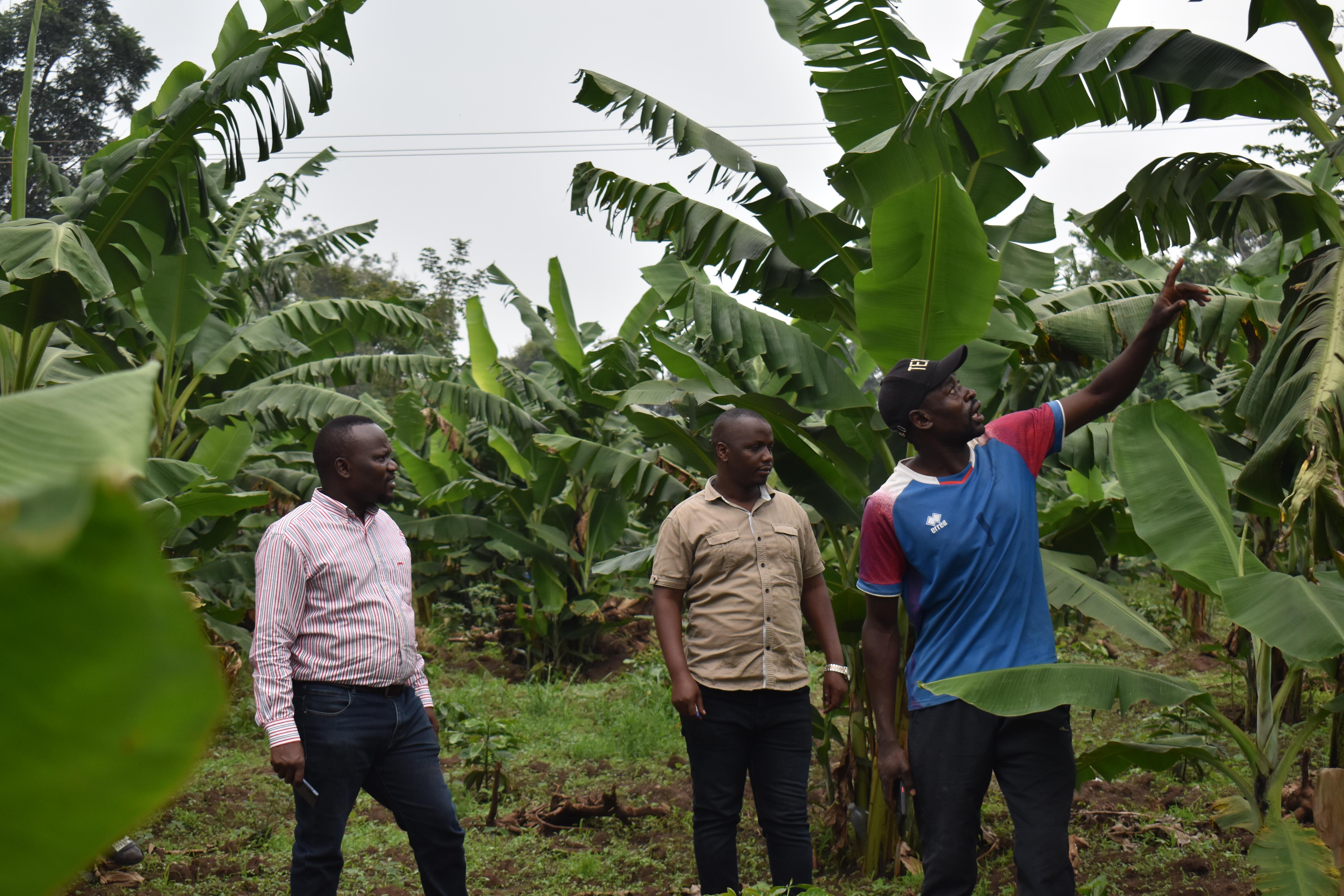 Agriculture Image 24