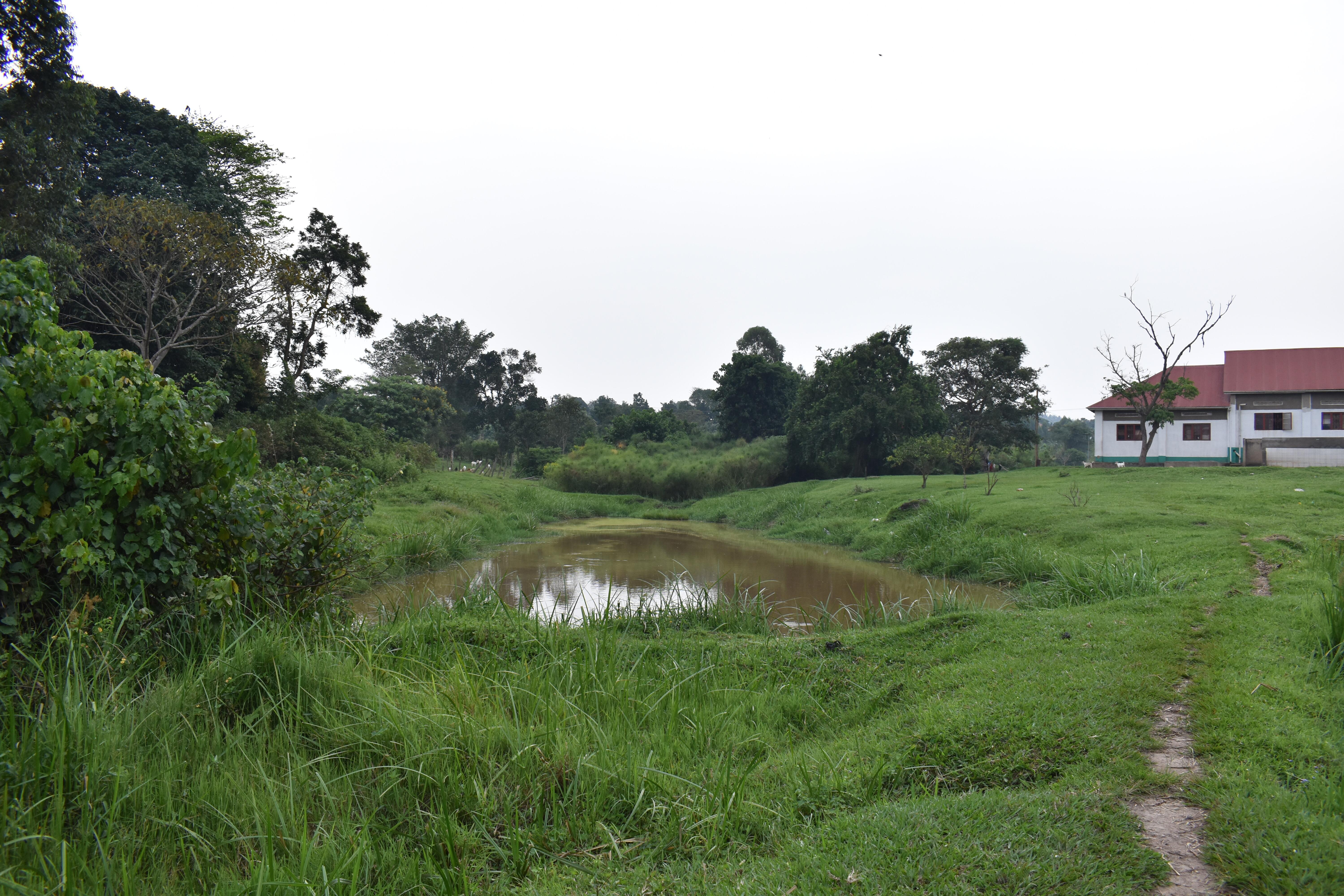 Agriculture Image 10