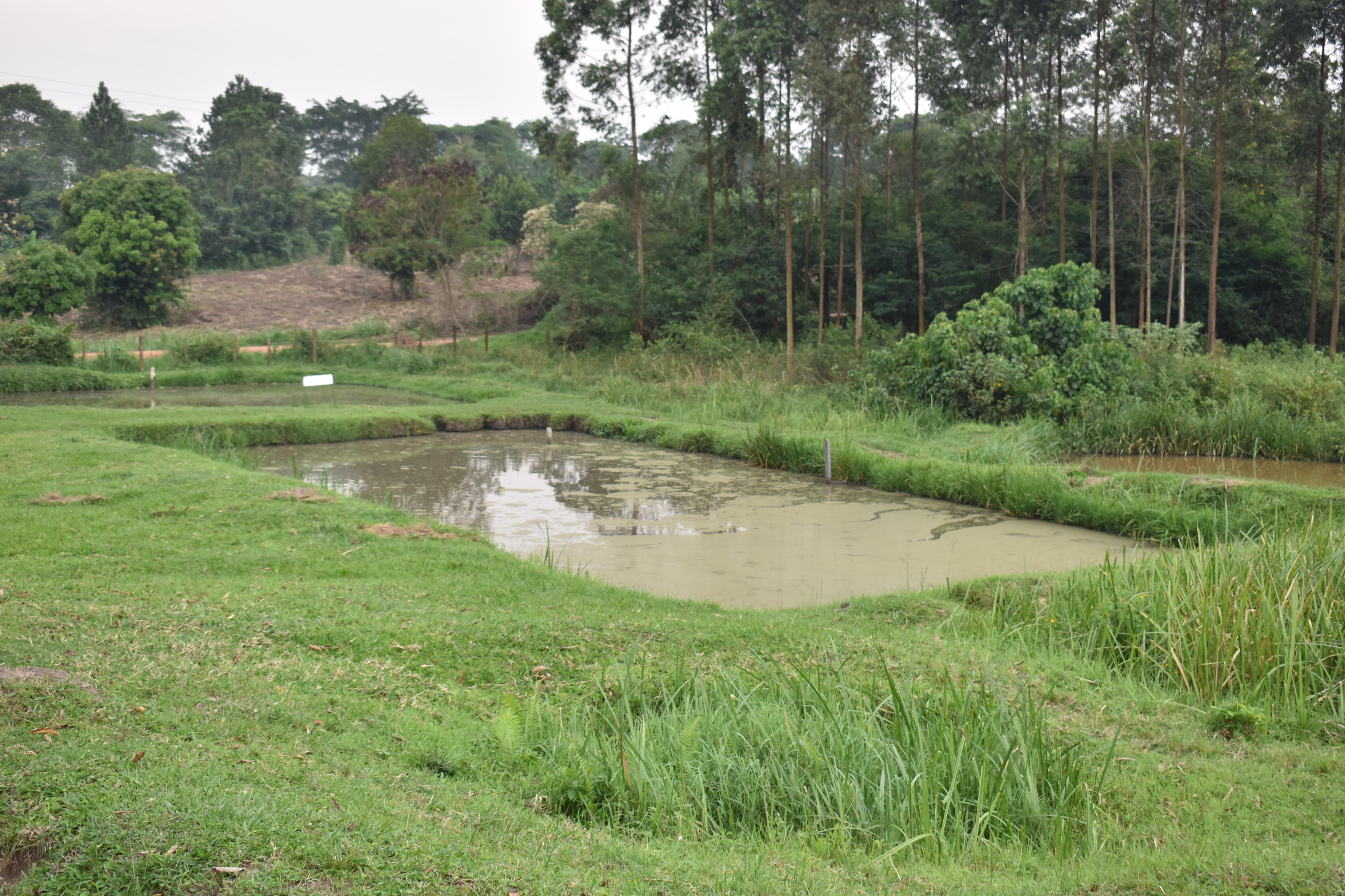 Agriculture Image 7