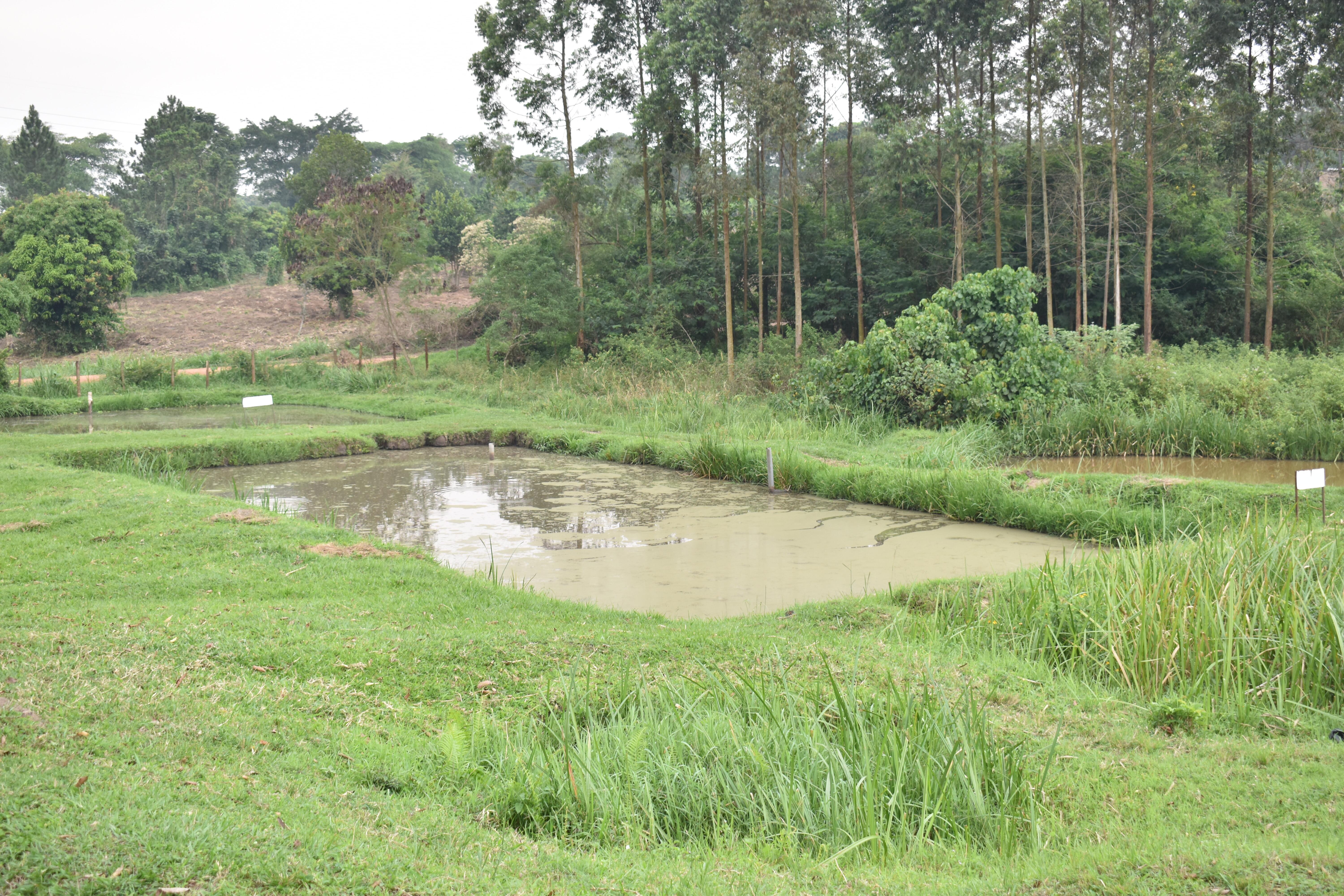 Agriculture Image 9