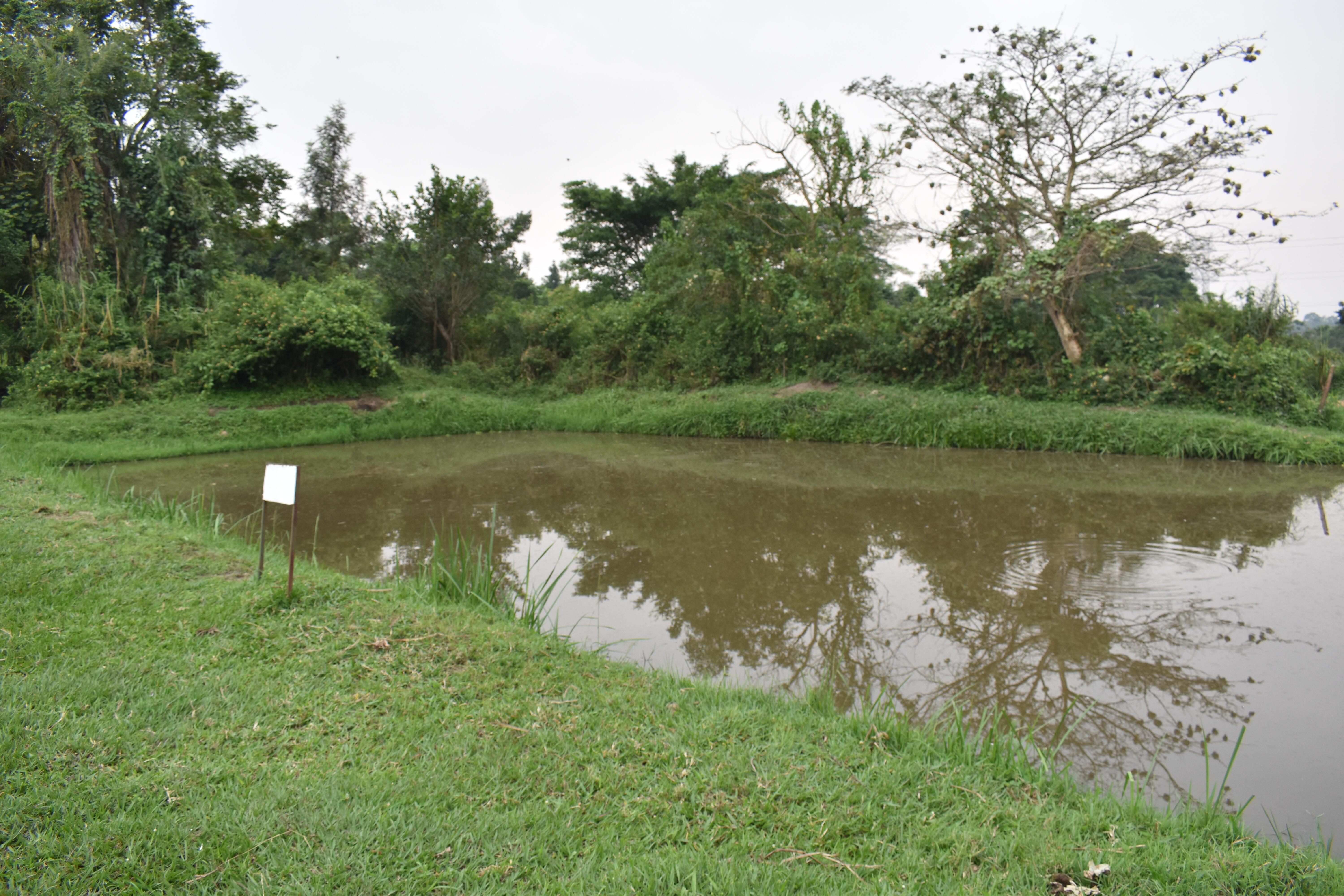 Agriculture Image 11