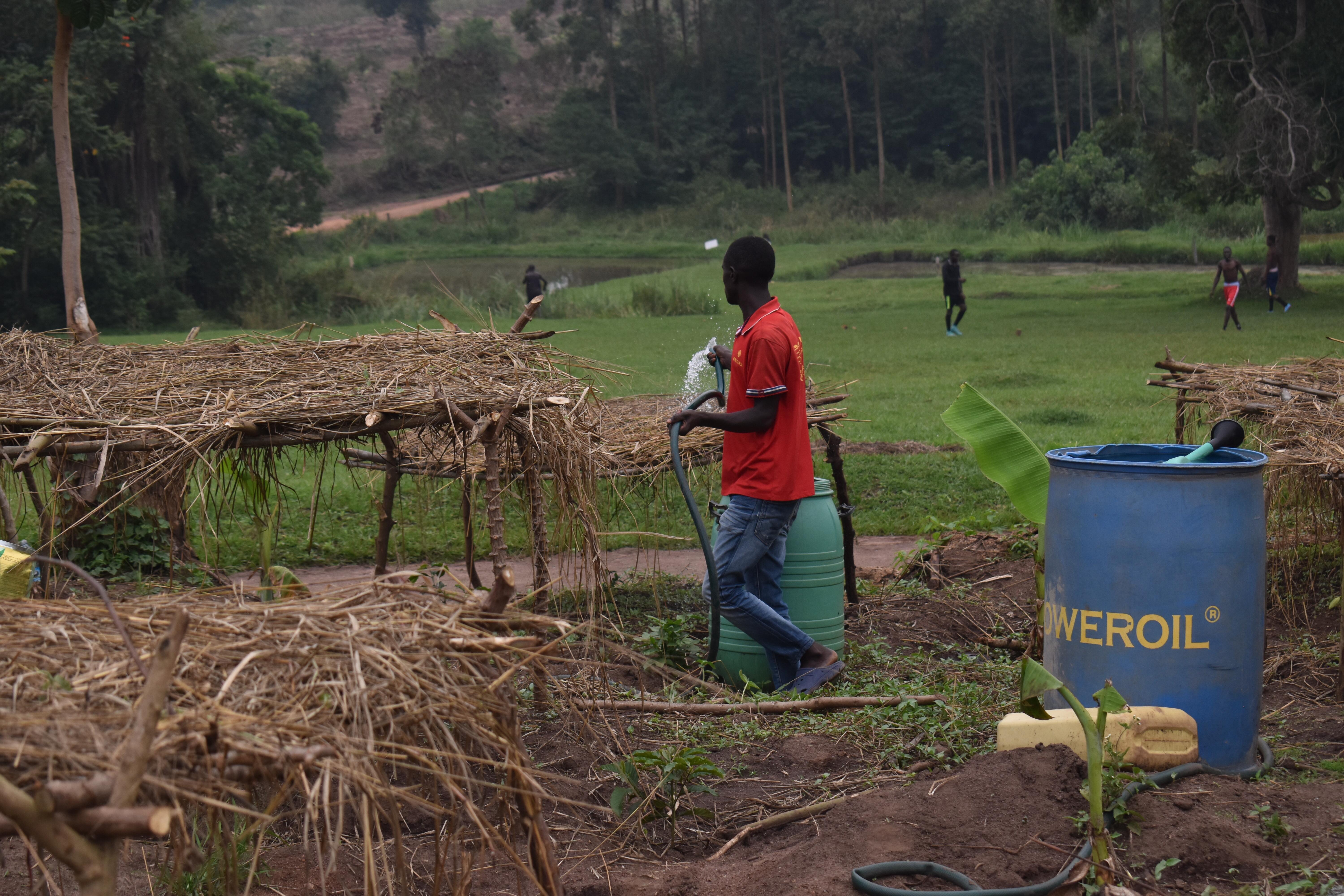 Agriculture Image 18